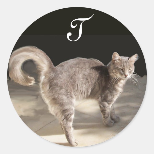 TURKISH CAT Monogram Classic Round Sticker (Front)
