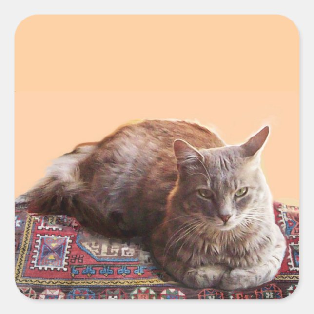 TURKISH CAT ON THE OLD CARPET SQUARE STICKER (Front)
