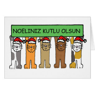 Turkish Christmas Cartoon Cats in Santa hats.