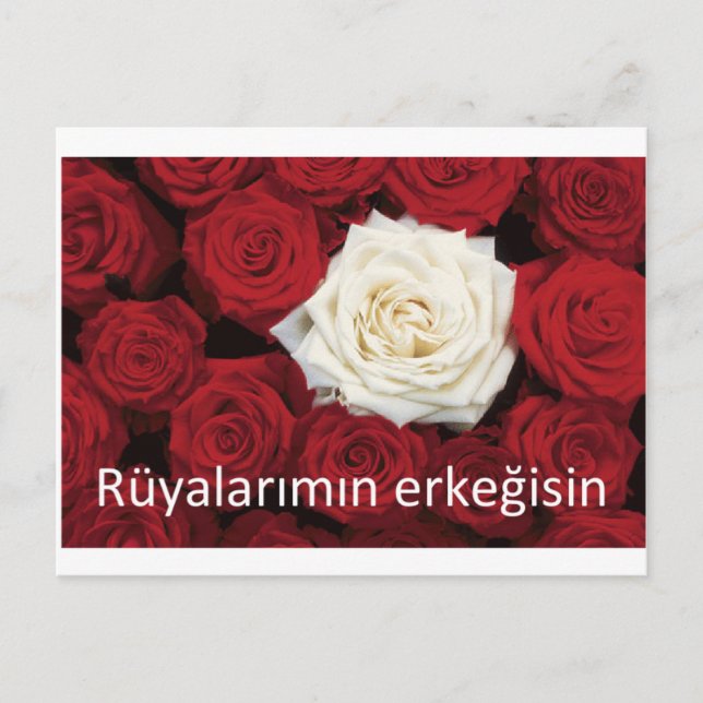 TURKISH LOVE 'You're the man of my dreams' Postcard (Front)