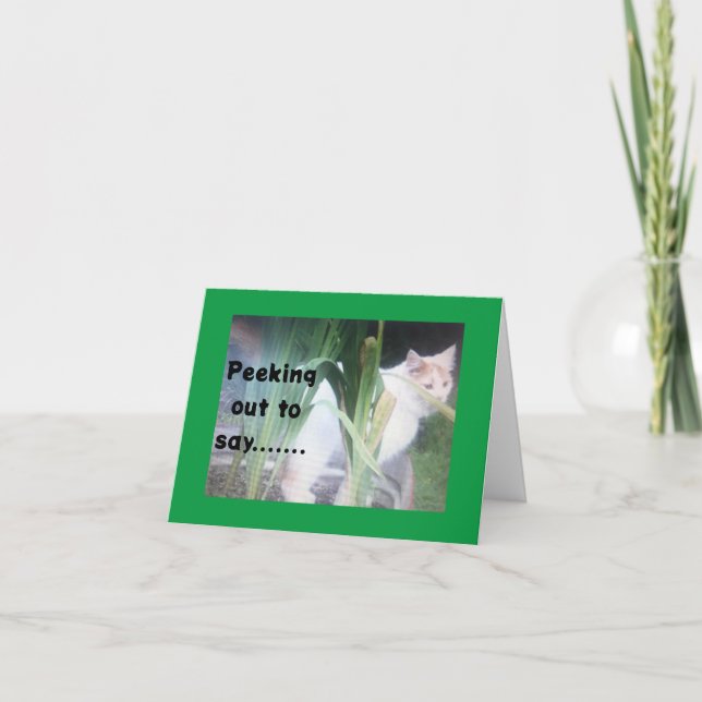 TURKISH VAN PEEKS OUT TO SAY HAPPY BIRTHDAY THANK YOU CARD (Front)