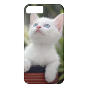 Turkish White Kitten iPhone 8 Plus/7 Plus Case