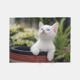 Turkish White Kitten Fleece Blanket