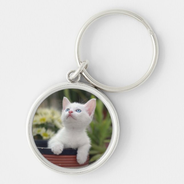 Turkish White Kitten Keychain (Front)
