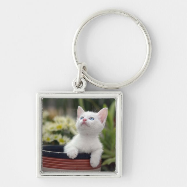 Turkish White Kitten Keychain (Front)