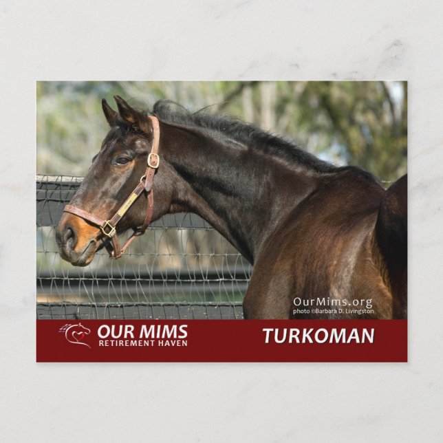 Turkoman postcard (Front)