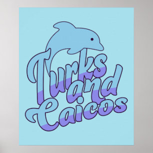 Turks and Caicos Dolphin Poster
