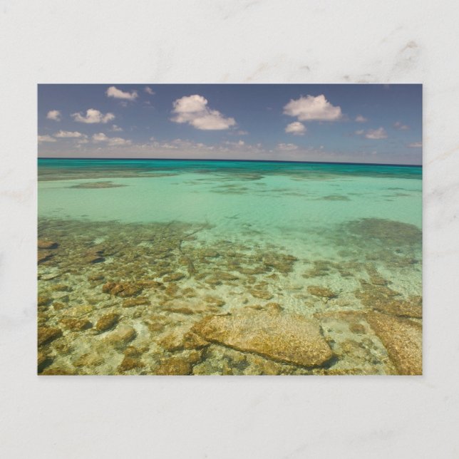 Turks and Caicos, Grand Turk Island, Cockburn 2 Postcard (Front)