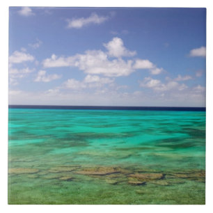 Turks and Caicos, Grand Turk Island, Cockburn 3 Tile