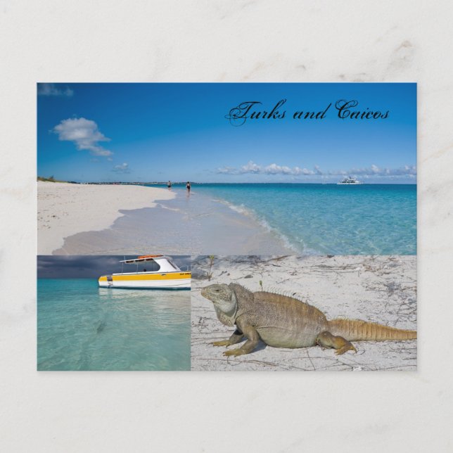 Turks and Caicos Postcard (Front)