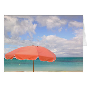 Turks and Caicos, Providenciales Island, Grace