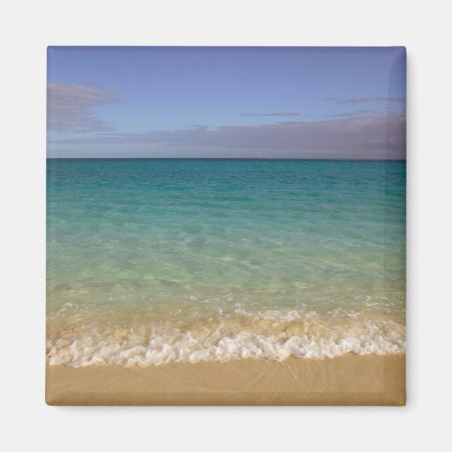 Turks and Caicos, Providenciales Island, Grace 2 Magnet (Front)