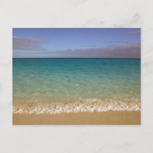 Turks and Caicos, Providenciales Island, Grace 2 Postcard