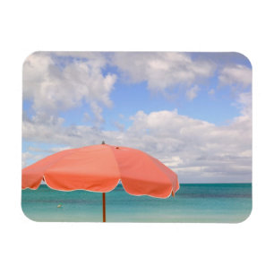 Turks and Caicos, Providenciales Island, Grace Magnet