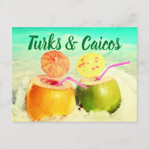 Turks & Caicos coconuts Postcard