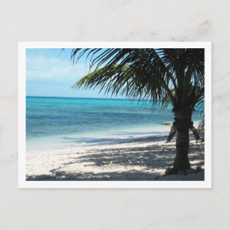 Turks & Caicos Islands Postcard