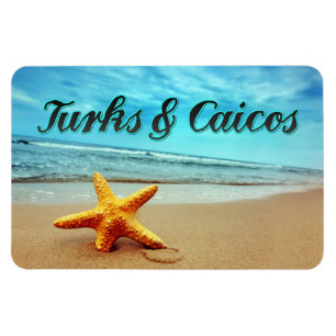 Turks & Caicos starfish Magnet