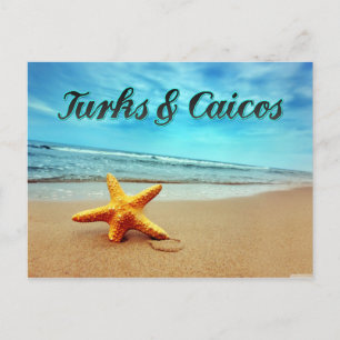 Turks & Caicos starfish Postcard