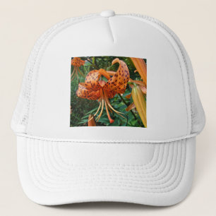 Turk's Cap Lily Wildflower