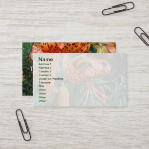 Turk's Cap Lily Wildflower Business Card