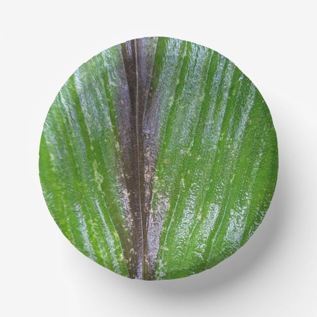 Turmeric Green Leaf Design – 7 inch  Paper Plate (Front)