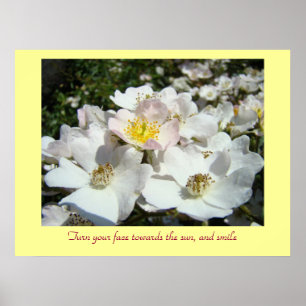 Turn your face towards the sun & smile art print