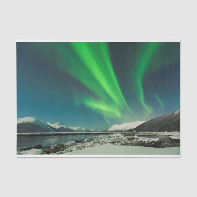 Turnagain Arm Aurora Tissue Paper (Front)
