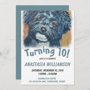 Turning 10 Black Havanese Invite
