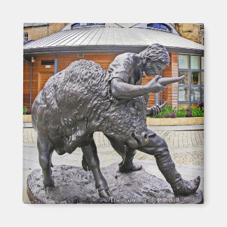 Turning of the Bull Magnet