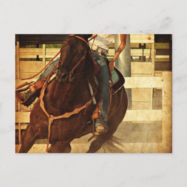 Turning Western Horse Postcard (Front)