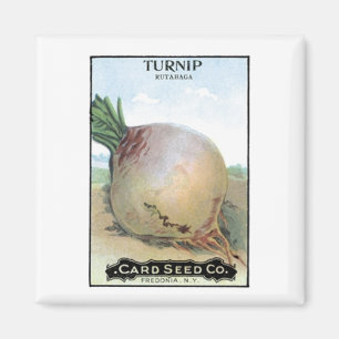 Turnip, Card Seed Company Magnet