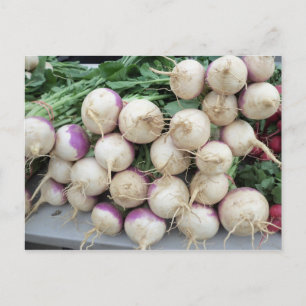 Turnip Pile Postcard