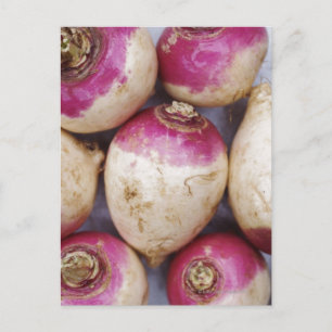 Turnips Postcard