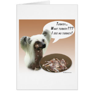 Turquie contrainte chinoise