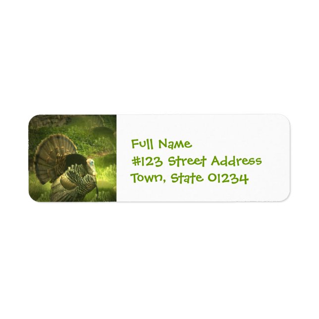 Turquie Étiquettes de messagerie (Devant)