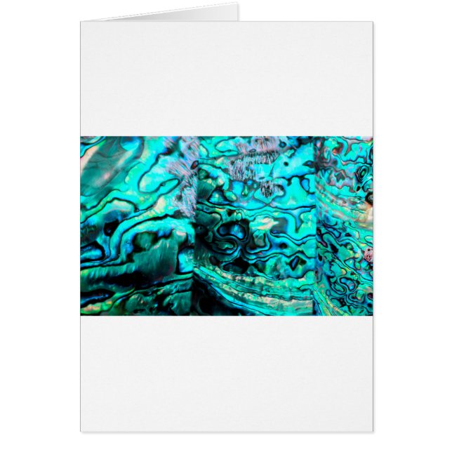 Turquoise abalone paua shell detail (Front)