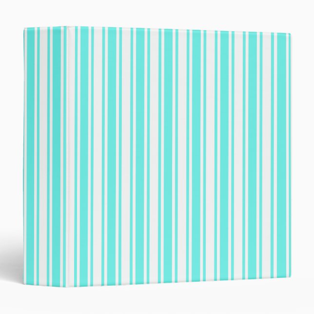 Turquoise and white candy stripes binder (Front/Spine)