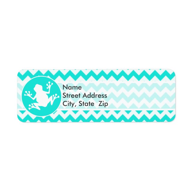 Turquoise, Aqua Color Chevron; Grenouille (Devant)