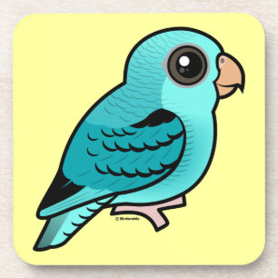 Turquoise Barred Parakeet Coaster