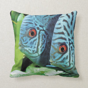 Turquoise Blue Discus Throw Pillow