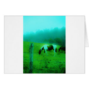 Turquoise brouillard Reto colorié poney peint Chev
