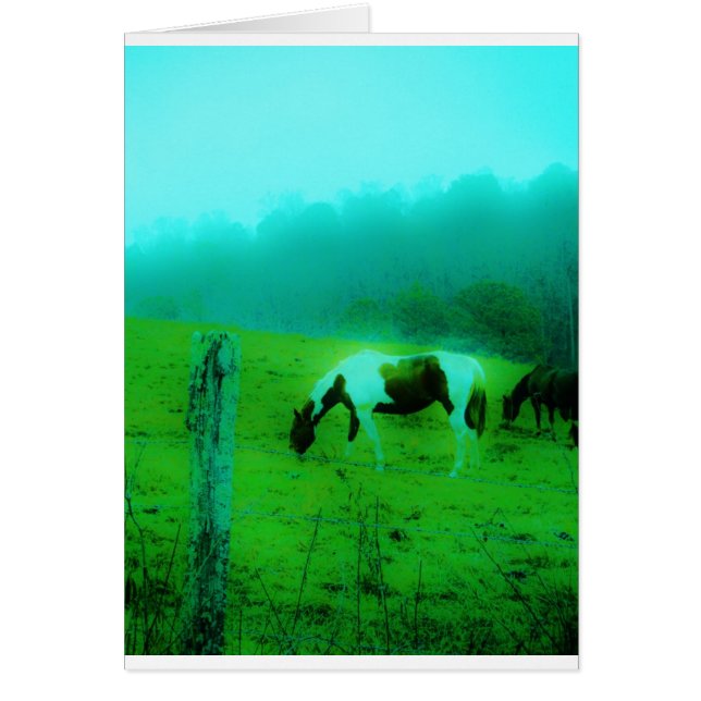 Turquoise brouillard Reto colorié poney peint Chev (Devant)