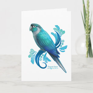 Turquoise Conure Card
