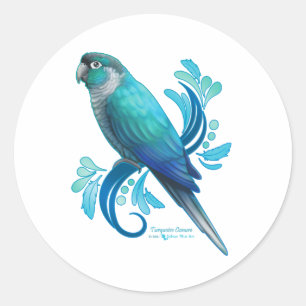 Turquoise Conure Classic Round Sticker