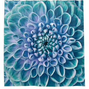 Turquoise Dahlia Flower Macro Background