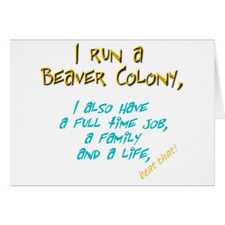 turquoise de chef de castor