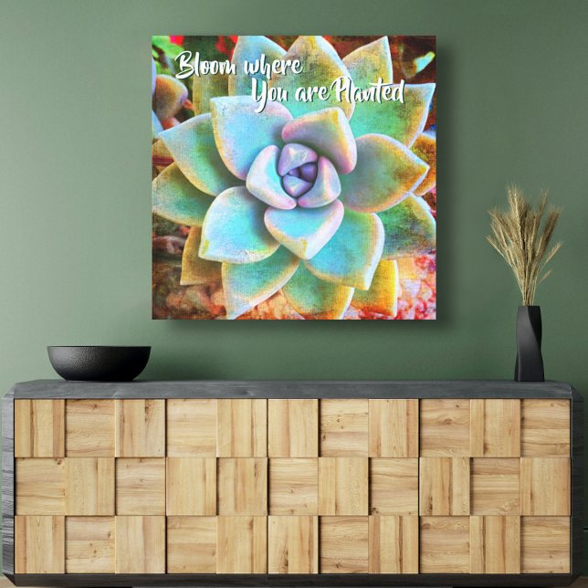 Turquoise Green Cactus Photo Bloom Where Planted Canvas Print (Creator Uploaded)