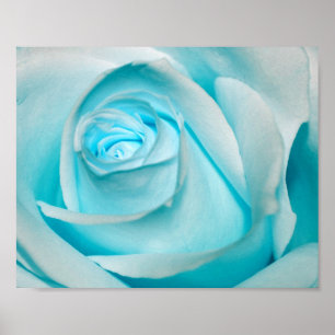Turquoise Ice Rose Poster