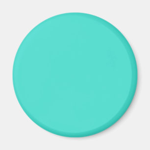 Turquoise Magnet