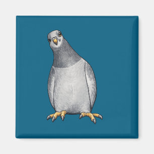 Turquoise magnet with sweet cartoon city pigeon